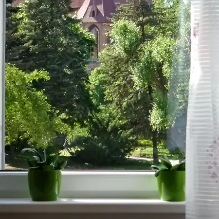 Apartment Apartament Z Widokiem Na Zamek